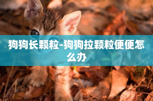 狗狗長顆粒-狗狗拉顆粒便便怎么辦