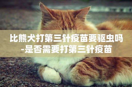 比熊犬打第三針疫苗要驅蟲嗎-是否需要打第三針疫苗