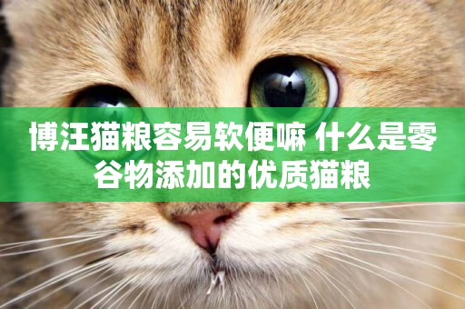 博汪貓糧容易軟便嘛 什么是零谷物添加的優質貓糧