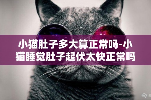 小貓肚子多大算正常嗎-小貓睡覺肚子起伏太快正常嗎