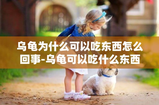 烏龜為什么可以吃東西怎么回事-烏龜可以吃什么東西