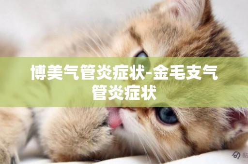 博美氣管炎癥狀-金毛支氣管炎癥狀