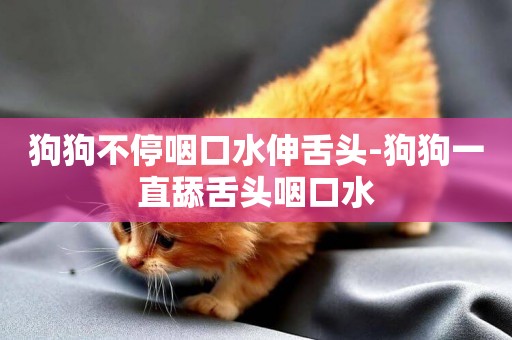 狗狗不停咽口水伸舌頭-狗狗一直舔舌頭咽口水