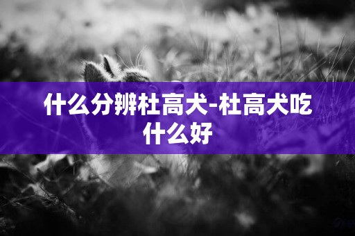 什么分辨杜高犬-杜高犬吃什么好