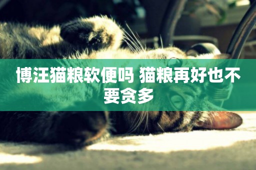 博汪貓糧軟便嗎 貓糧再好也不要貪多