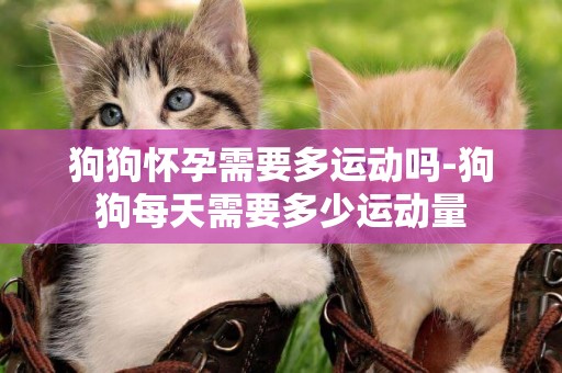 狗狗懷孕需要多運動嗎-狗狗每天需要多少運動量