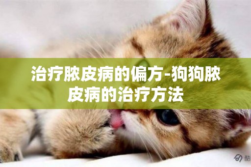 治療膿皮病的偏方-狗狗膿皮病的治療方法