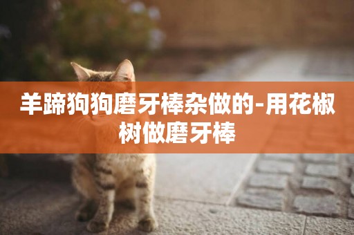 羊蹄狗狗磨牙棒雜做的-用花椒樹做磨牙棒