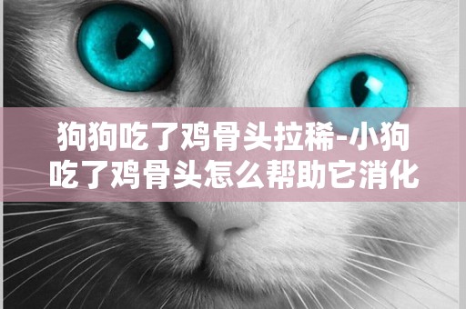 狗狗吃了雞骨頭拉稀-小狗吃了雞骨頭怎么幫助它消化
