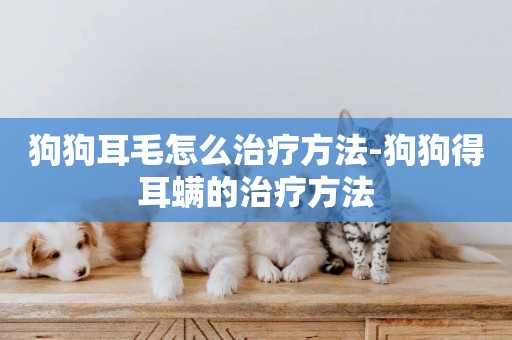 狗狗耳毛怎么治療方法-狗狗得耳螨的治療方法