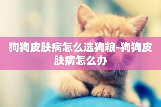 狗狗皮膚病怎么選狗糧-狗狗皮膚病怎么辦