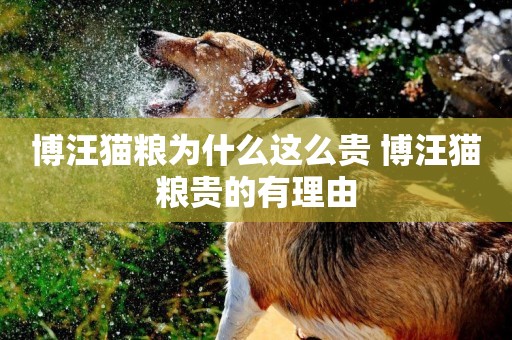 博汪貓糧為什么這么貴 博汪貓糧貴的有理由