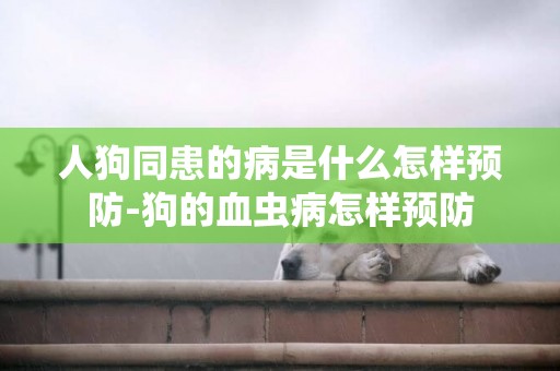 人狗同患的病是什么怎樣預防-狗的血蟲病怎樣預防