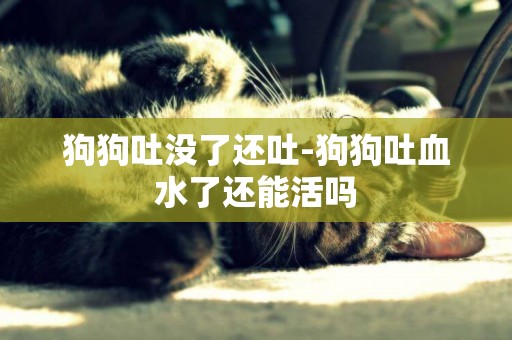 狗狗吐沒了還吐-狗狗吐血水了還能活嗎