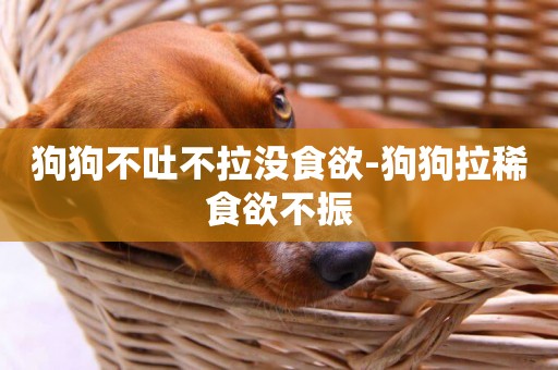 狗狗不吐不拉沒食欲-狗狗拉稀食欲不振