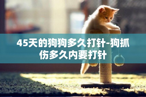 45天的狗狗多久打針-狗抓傷多久內要打針