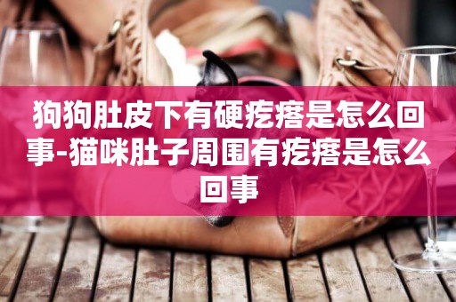 狗狗肚皮下有硬疙瘩是怎么回事-貓咪肚子周圍有疙瘩是怎么回事