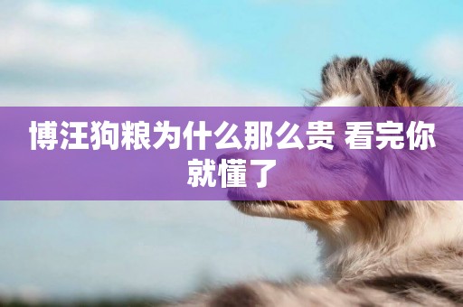 博汪狗糧為什么那么貴 看完你就懂了