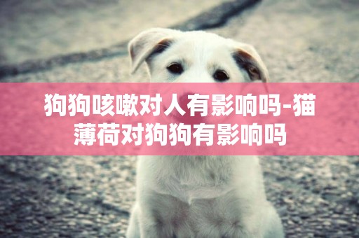 狗狗咳嗽對人有影響嗎-貓薄荷對狗狗有影響嗎