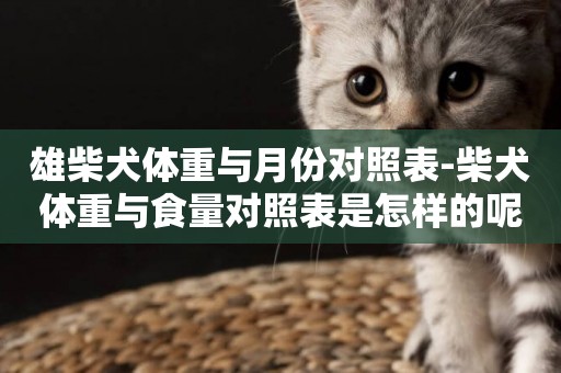 雄柴犬體重與月份對照表-柴犬體重與食量對照表是怎樣的呢