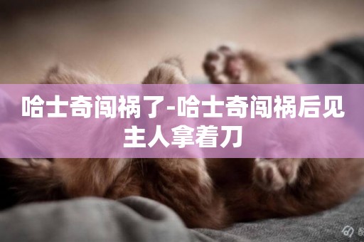 哈士奇闖禍了-哈士奇闖禍后見主人拿著刀