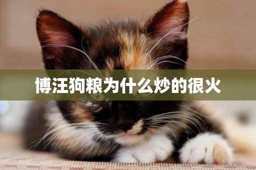 博汪狗糧為什么炒的很火