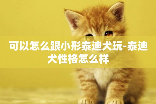可以怎么跟小形泰迪犬玩-泰迪犬性格怎么樣