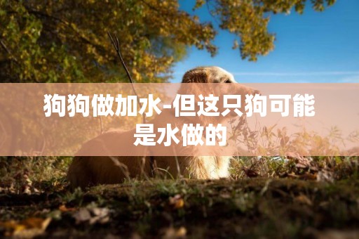 狗狗做加水-但這只狗可能是水做的