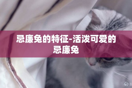 忌廉兔的特征-活潑可愛的忌廉兔