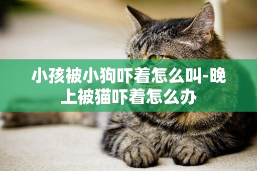 小孩被小狗嚇著怎么叫-晚上被貓嚇著怎么辦