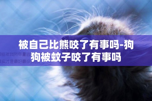 被自己比熊咬了有事嗎-狗狗被蚊子咬了有事嗎