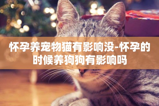 懷孕養寵物貓有影響沒-懷孕的時候養狗狗有影響嗎