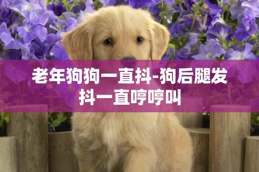 老年狗狗一直抖-狗后腿發抖一直哼哼叫