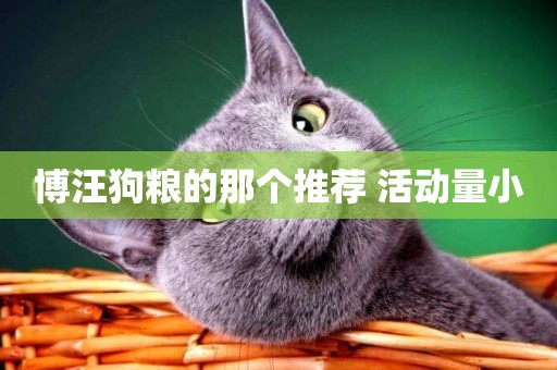 博汪狗糧的那個推薦 活動量小