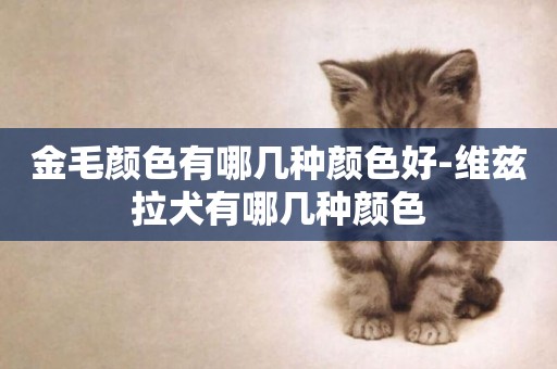 金毛顏色有哪幾種顏色好-維茲拉犬有哪幾種顏色