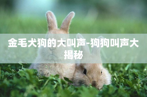 金毛犬狗的大叫聲-狗狗叫聲大揭秘