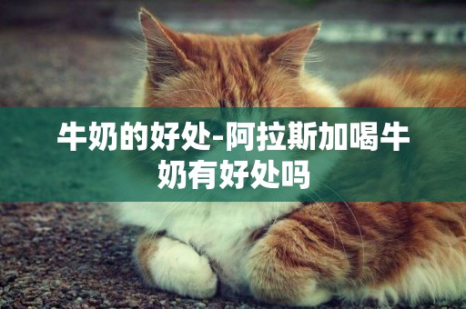 牛奶的好處-阿拉斯加喝牛奶有好處嗎