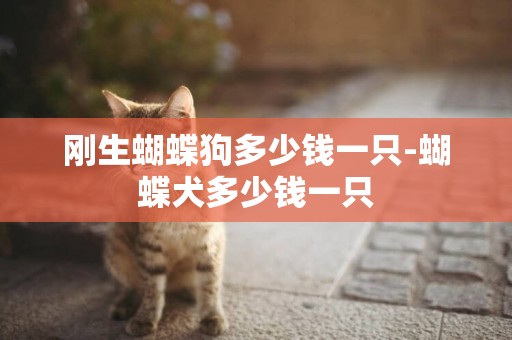 剛生蝴蝶狗多少錢一只-蝴蝶犬多少錢一只