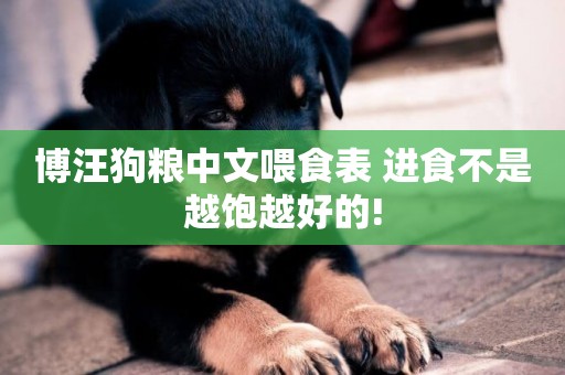 博汪狗糧中文喂食表 進食不是越飽越好的!