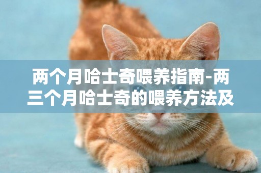 兩個月哈士奇喂養指南-兩三個月哈士奇的喂養方法及哈士奇不會叫怎么辦