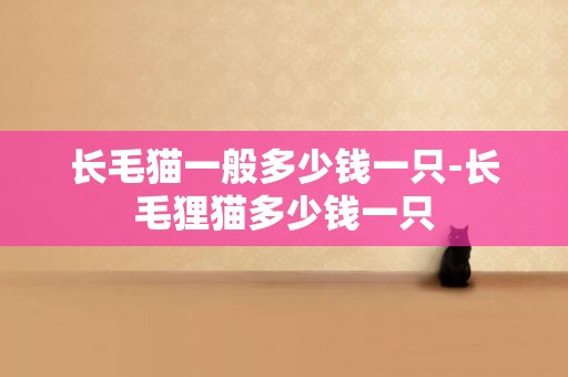 長毛貓一般多少錢一只-長毛貍貓多少錢一只