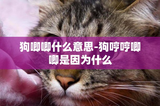 狗唧唧什么意思-狗哼哼唧唧是因為什么