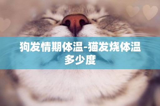 狗發情期體溫-貓發燒體溫多少度