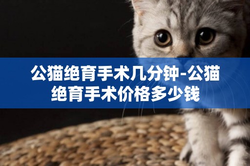 公貓絕育手術幾分鐘-公貓絕育手術價格多少錢