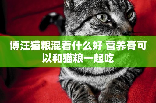 博汪貓糧混著什么好 營養膏可以和貓糧一起吃