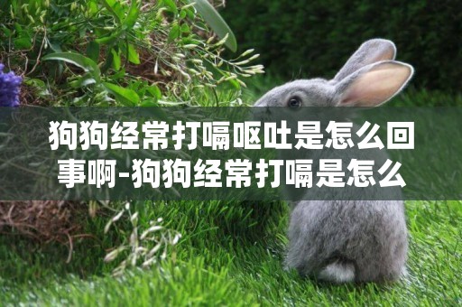 狗狗經常打嗝嘔吐是怎么回事啊-狗狗經常打嗝是怎么回事