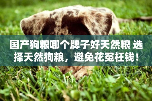 國產狗糧哪個牌子好天然糧 選擇天然狗糧，避免花冤枉錢！