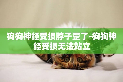 狗狗神經受損脖子歪了-狗狗神經受損無法站立