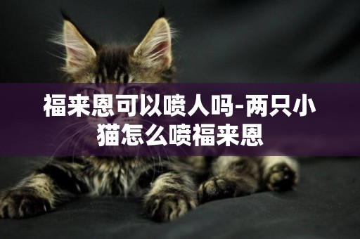 福來恩可以噴人嗎-兩只小貓怎么噴福來恩