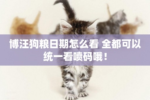 博汪狗糧日期怎么看 全都可以統一看噴碼哦！